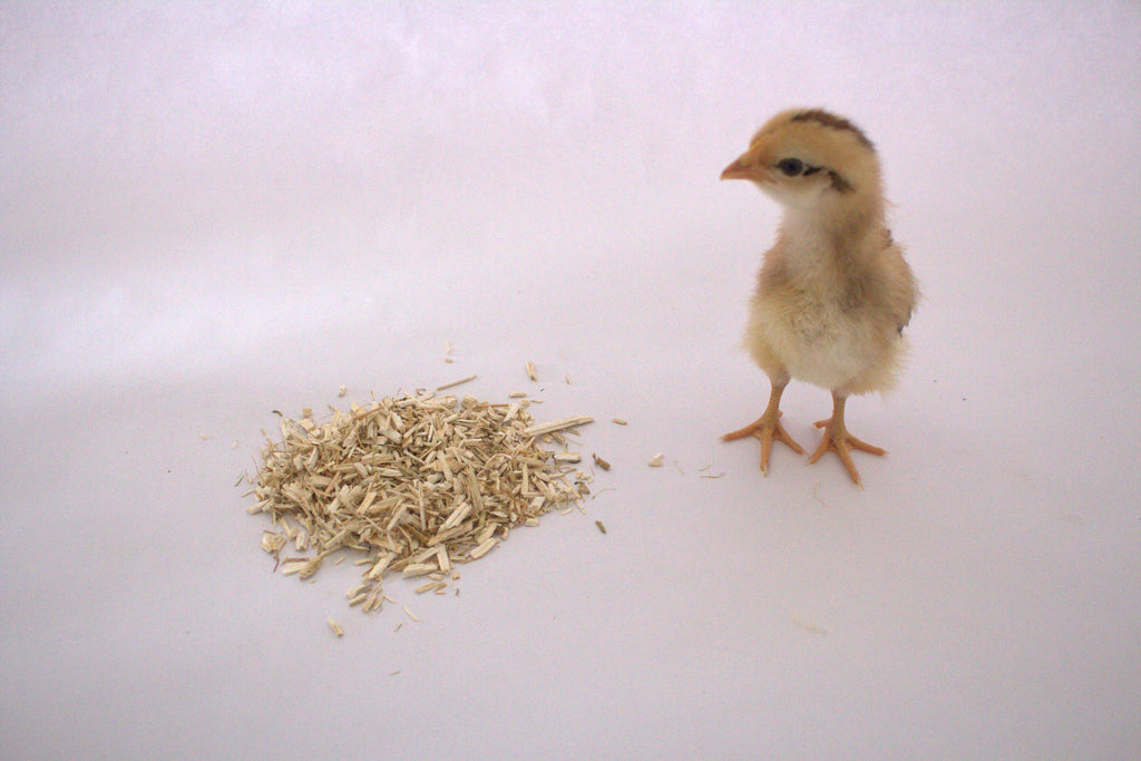 Hemp Bedding