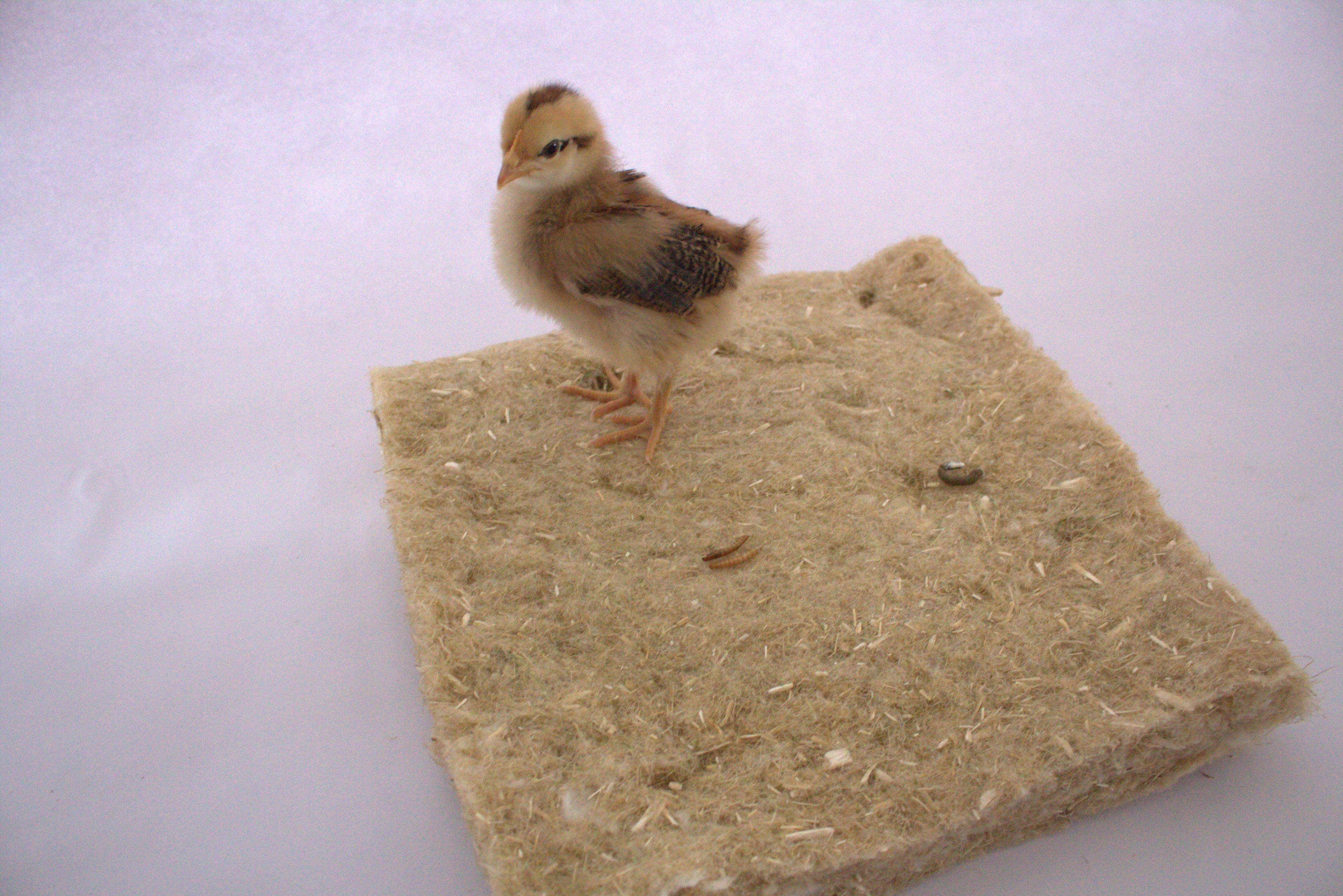 Nesting Pads