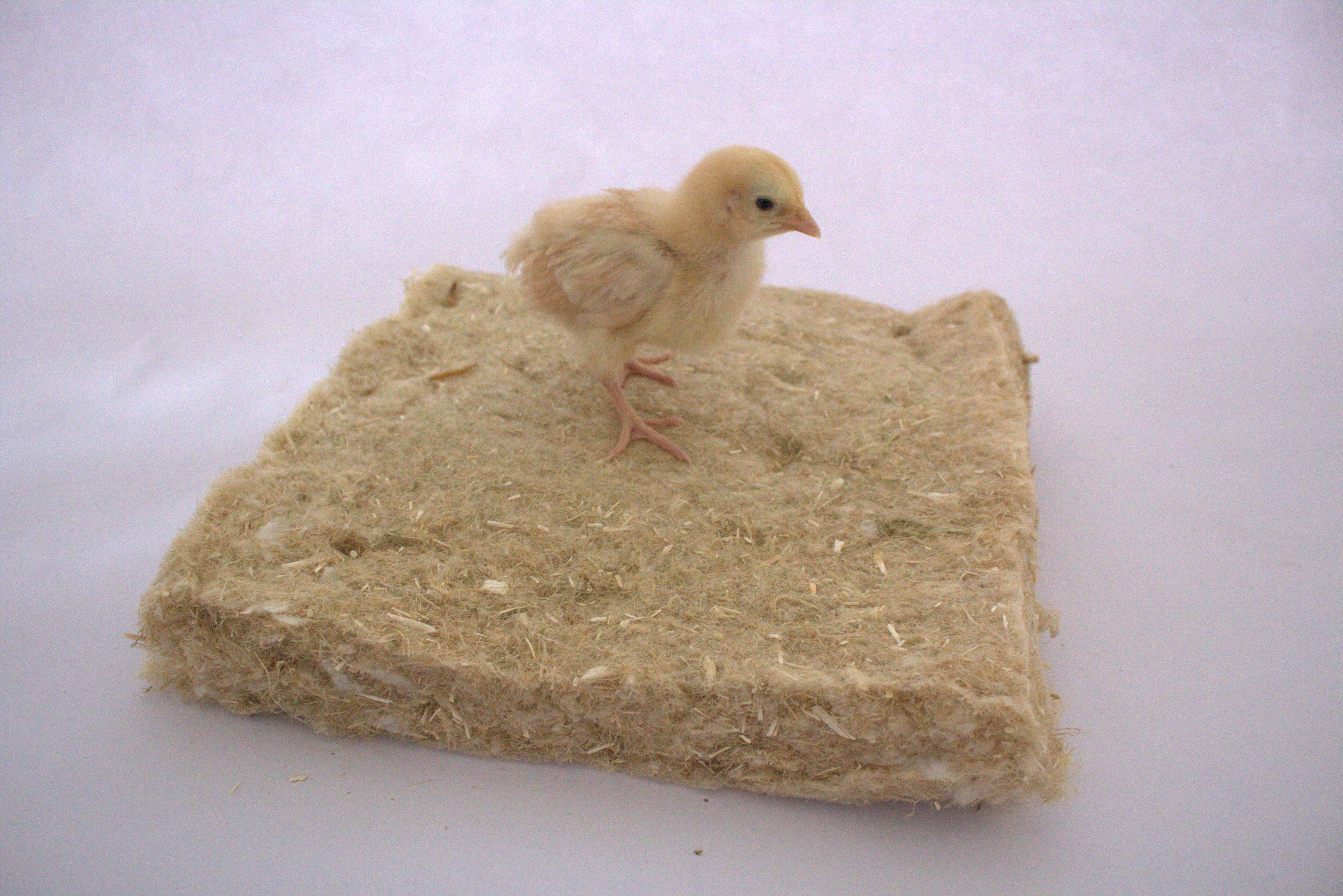 Nesting Pads