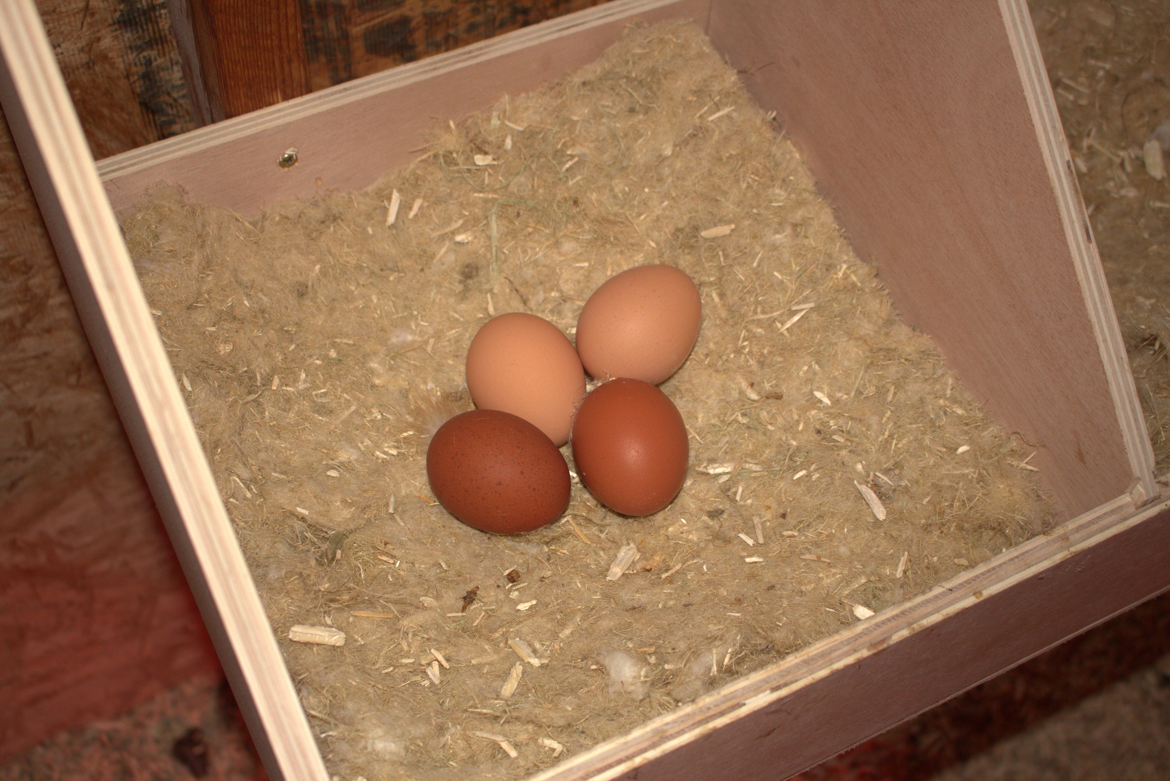 Nesting Pads