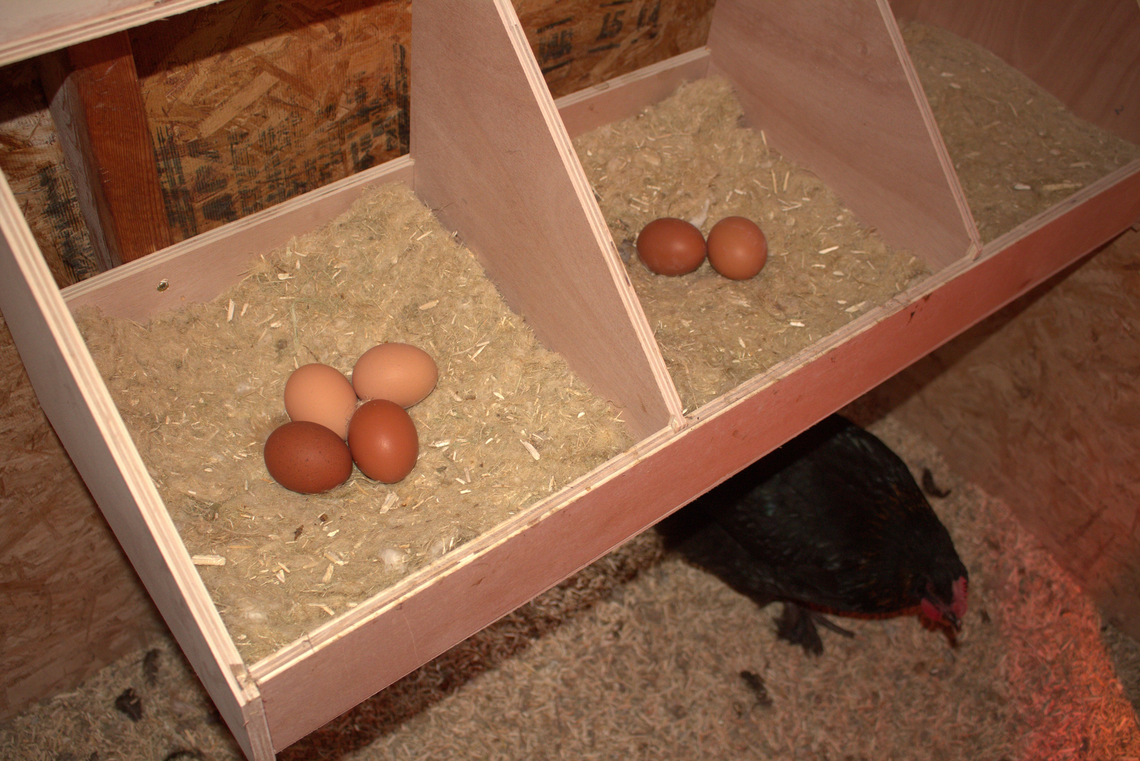 Nesting Pads